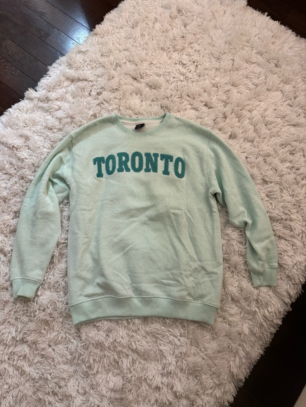 Toronto Crewneck Sweater - Light Mint